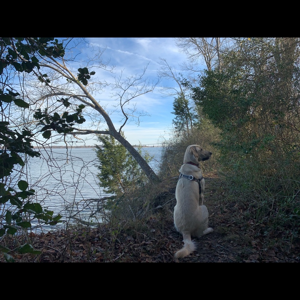 Meet your Posher, Troy